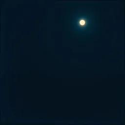 Whispers in the Night