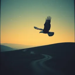 Little bit of the soul
