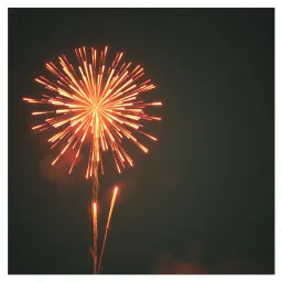 Burn For You