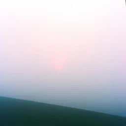 Forever in the Haze