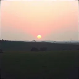 La vie