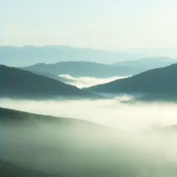 Whispers of the Horizon