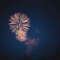 Lonely Fireworks