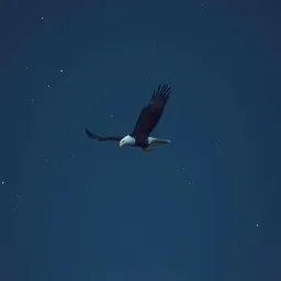 Back the Blue