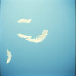 Floating in the All