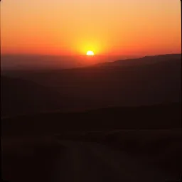 Take me home