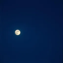 Di Bawah Langit Malam