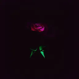 Poisonous Flower