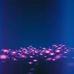 In my Dream