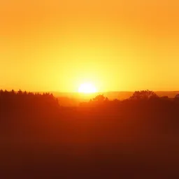 Shine Through the Night