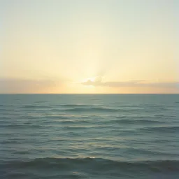 In the Warmth of Your Love