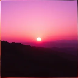 Morning purple 