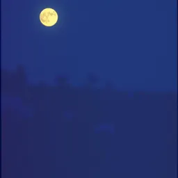 غصبا عليه