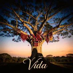 Vida