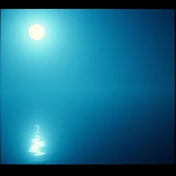 Shadows in the Water