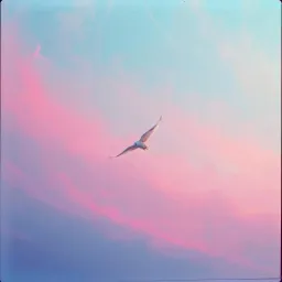 Liberation