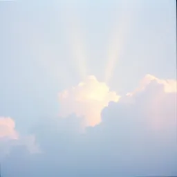 With a Heavy Heart