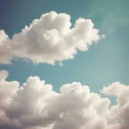 楽しい囁きの日々