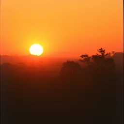 Another Sunrise