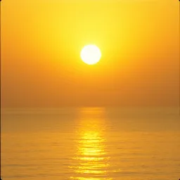 Meine Sonne