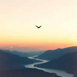 Wings of Freedom