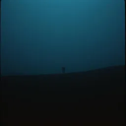 Paranoia