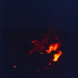 Fleeting Flame