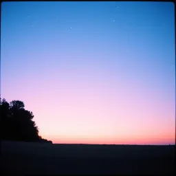 Twilight Skies