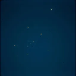 Starlight Nocturne