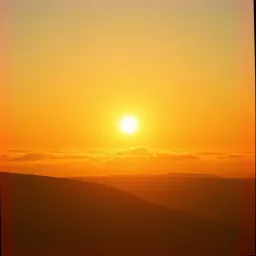 Morning Glory