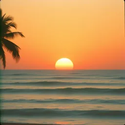 Take Me to Paradise