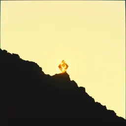 Pain problems and purpose