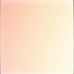 KAMU