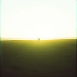 Meu alvo