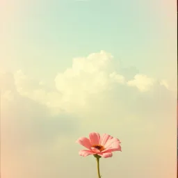 A Pleasant Scent