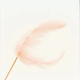 AIR