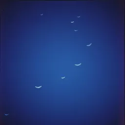 Hjssh
