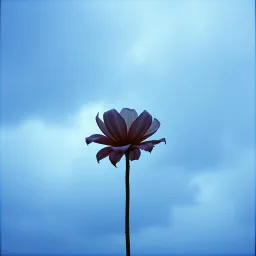I Feel So Alone Now
