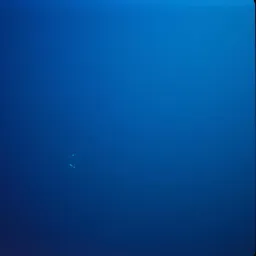 Bajo el Azul Profundo
