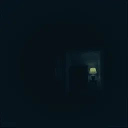 Apartment 213