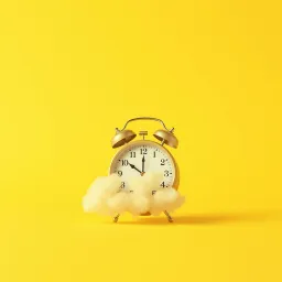 Wake the Hell Up