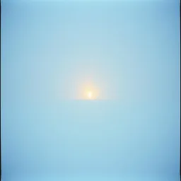 Ashes in the Snow