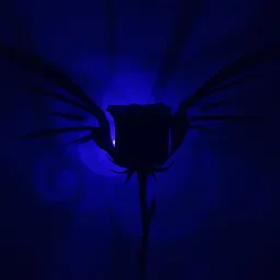 Shadow Tears