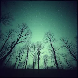 Sanctuary in the Sky