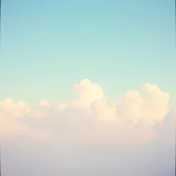 꿈 속의 세상 (Dream World)