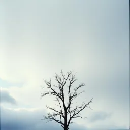 Intro