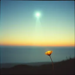 A light that shine too soon