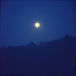 Late Night Echoes