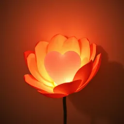Hidden Love