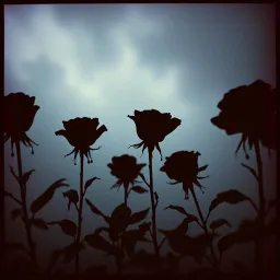 Dunkle Liebe
